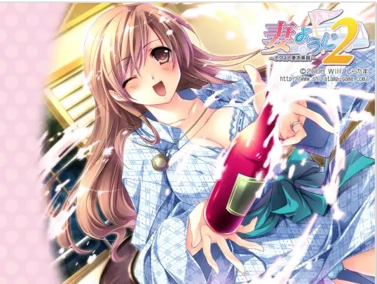 【经典/ADV/中文】人妻管理员2 中文版【PC/1.14G】