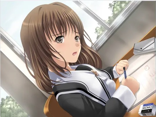 【经典/中文】伊织调教中文版【PC/433M】